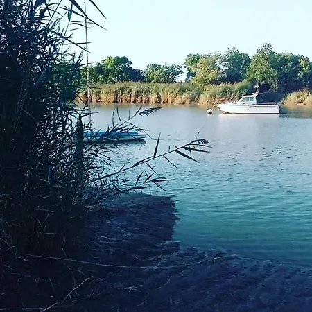Les Hortensias 4 Etoiles Avec Piscine 公寓 Frossay