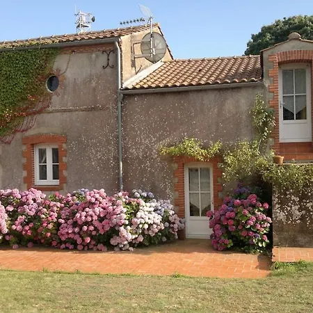 Les Hortensias 4 Etoiles Avec Piscine