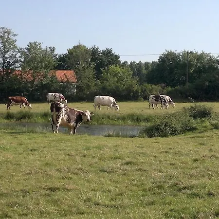 Les Hortensias 4 Etoiles Avec Piscine Frossay