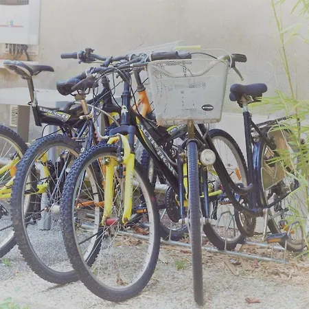 Les Hortensias 4 Etoiles Avec Piscine Frossay