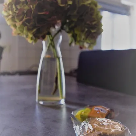 Apartment Les Hortensias 4 Etoiles Avec Piscine Frossay