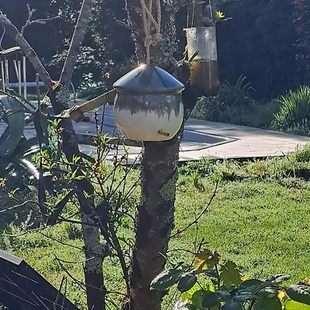 Les Hortensias 4 Etoiles Avec Piscine