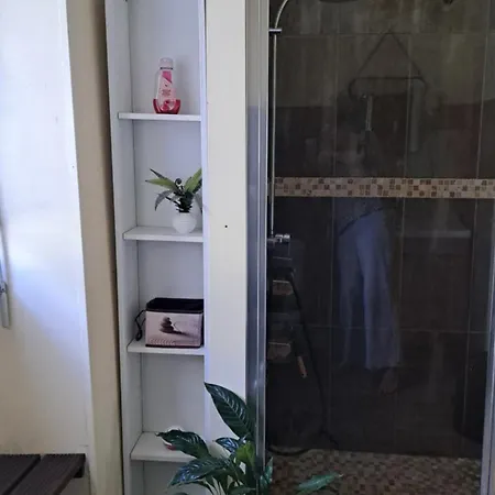 Daire Les Hortensias 4 Etoiles Avec Piscine