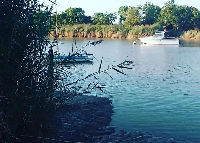 Les Hortensias 4 Etoiles Avec Piscine 公寓 Frossay