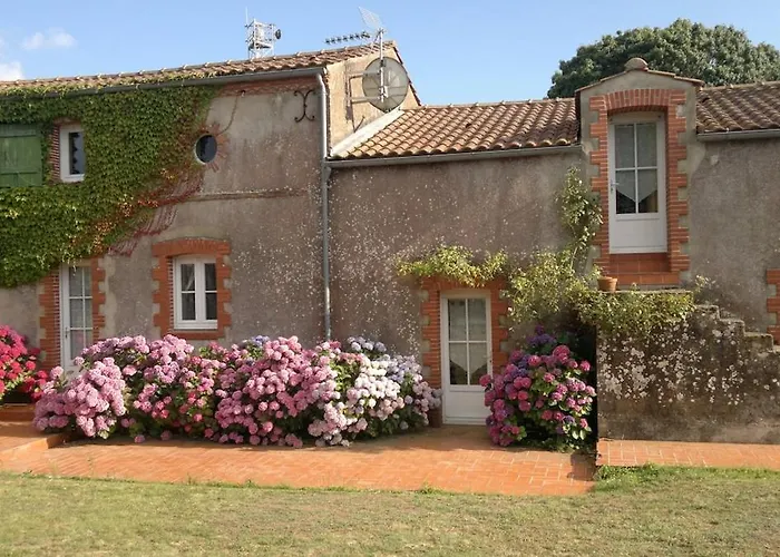 Les Hortensias 4 Etoiles Avec Piscine