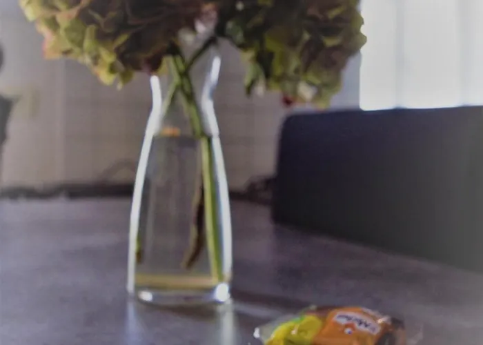 公寓 Les Hortensias 4 Etoiles Avec Piscine Frossay