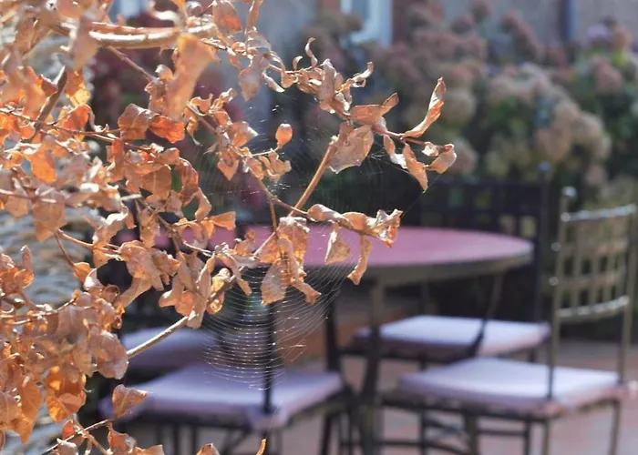 Les Hortensias 4 Etoiles Avec Piscine